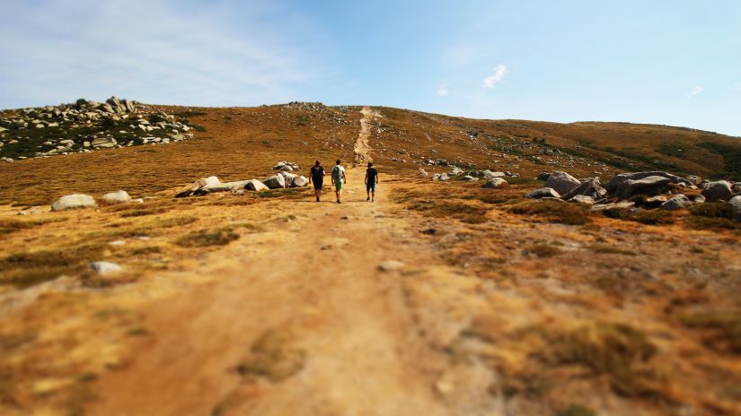 a group of three people hiking in a deserted area captured during the day