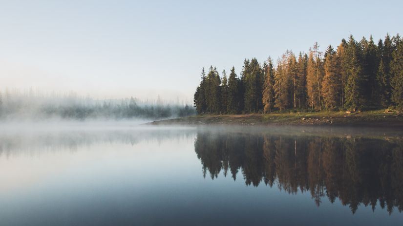 Lake with pine trees on the side