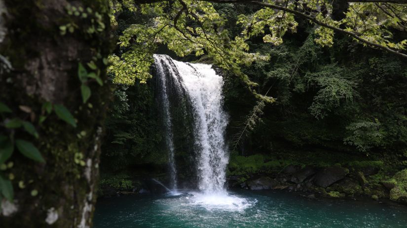 a waterfall in goa surrounded by green trees