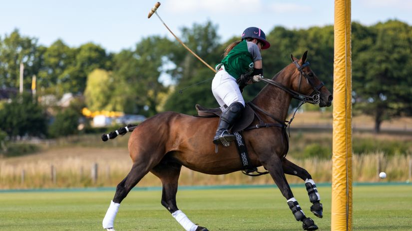 Person riding horse during a game a polo with blue sky in the background