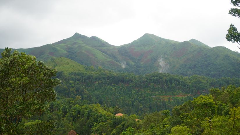 lush green mountains in chikmagalur