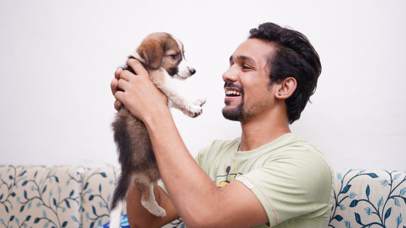 an owner playing with his pet dog