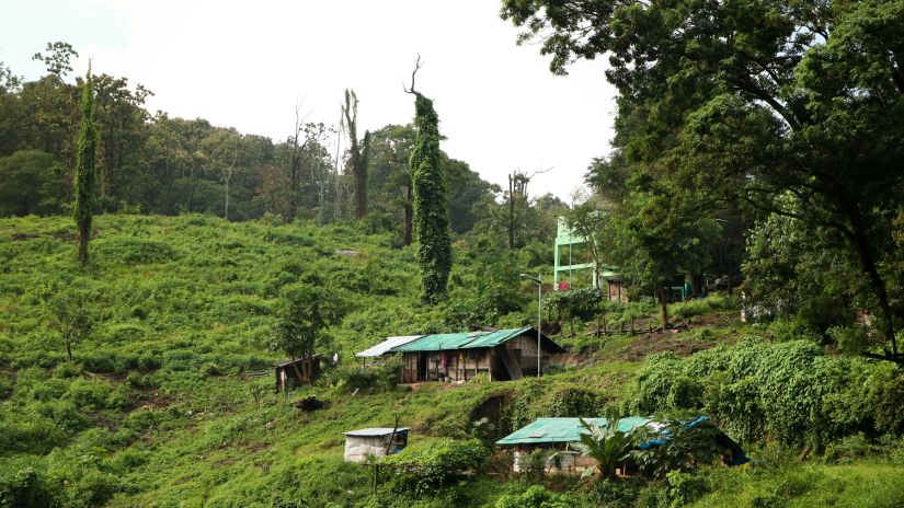 an overview of hilltop anamalai tiger reserve with greenery in view