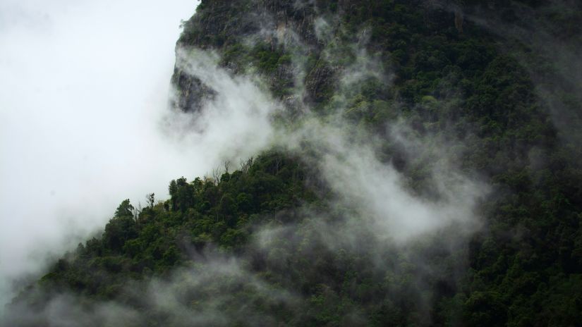 A misty mountain with its foliage partially obscured by cloud cover