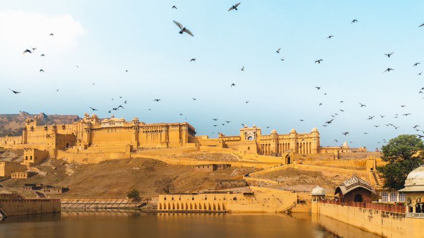 an overview of amber fort with bird flying above and blue sky in the background