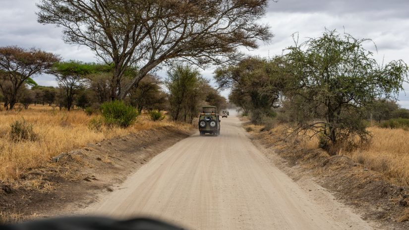Jeep safari on a smooth road