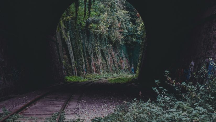 A train track inside a tunnel with greenery around