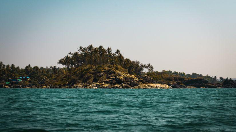 Rocks adorning the shores of Palolem beach with trees growing from above it