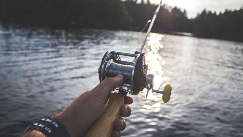 A person holding a fishing rod trying to catch a fish in a lake