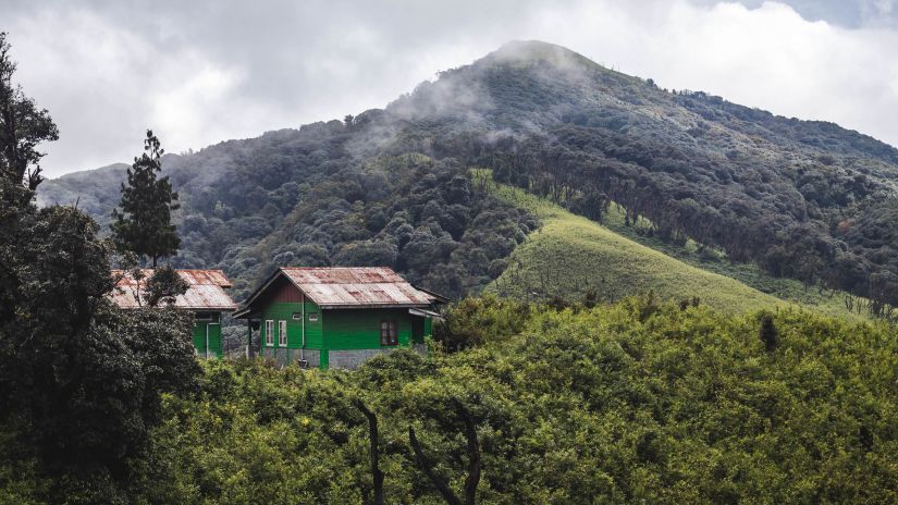 Dzukou-Valley-Beautiful-Nature-Hd-Images-