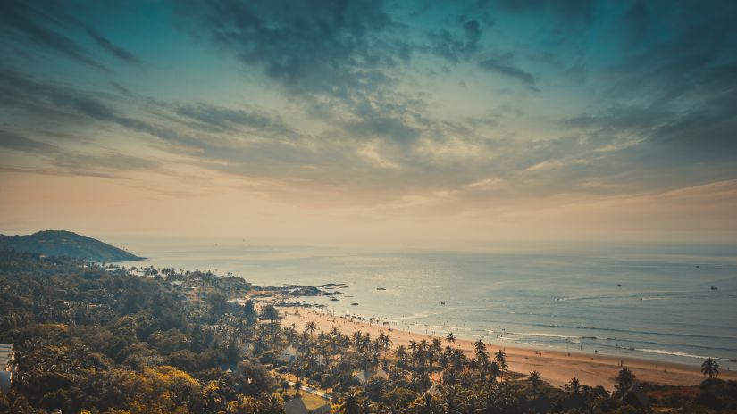 a view of Anjuna beach from a top of a hill, showing the beach and trees surrounding it