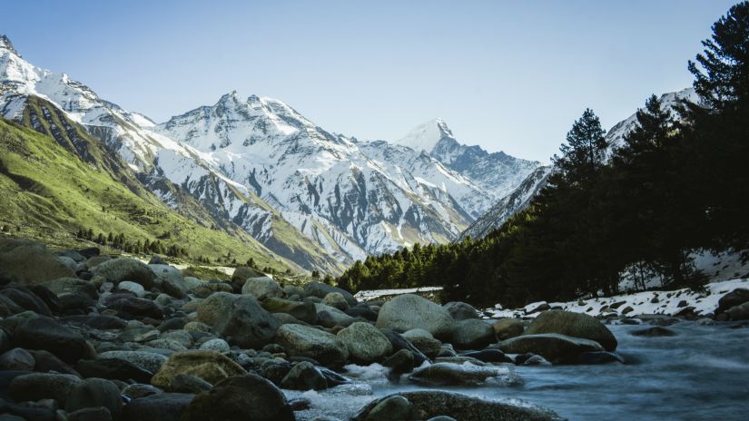 flowing river amid mountains and forest