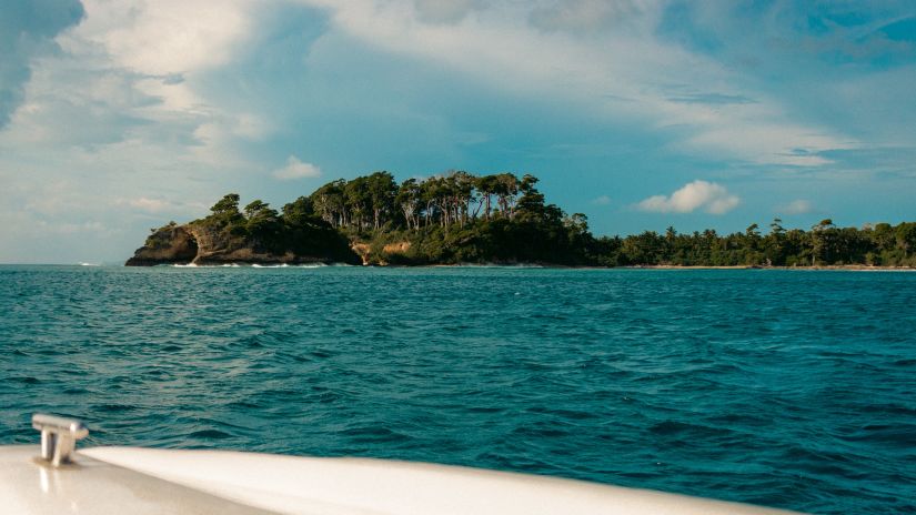 view of a lush island from a boat