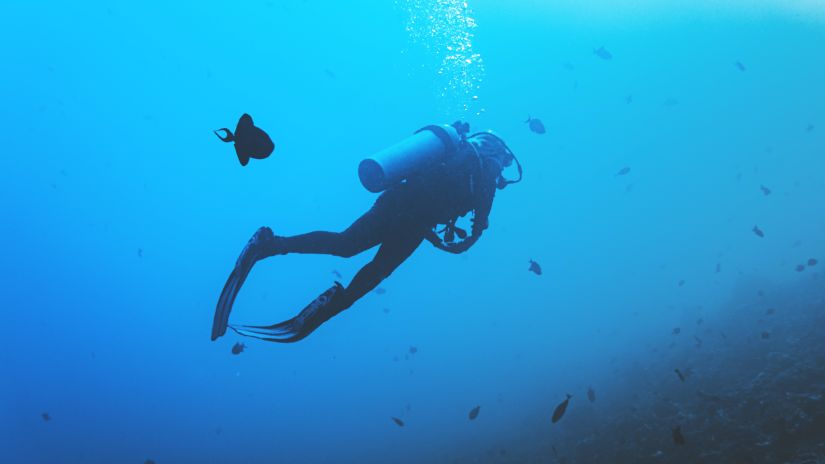 Diver in the ocean