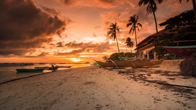 an image of a beach dotted with palm trees during sunset