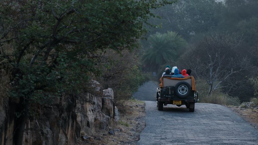 A group travelling in a jeep during a safari inside Ranthambore national park