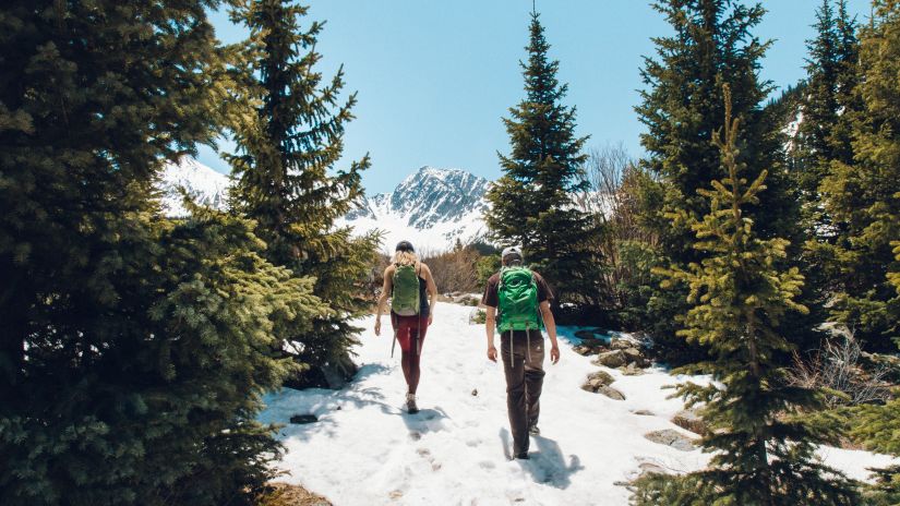 two people walking next to trees on a snow covered ground