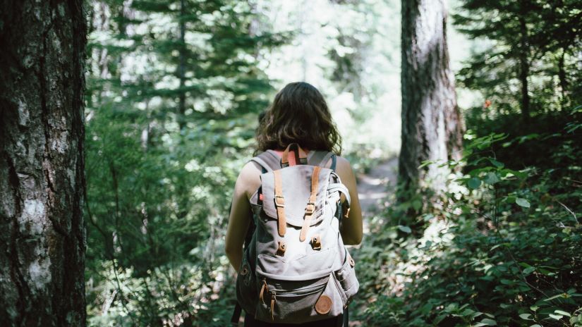 A person on a trek in a jungle