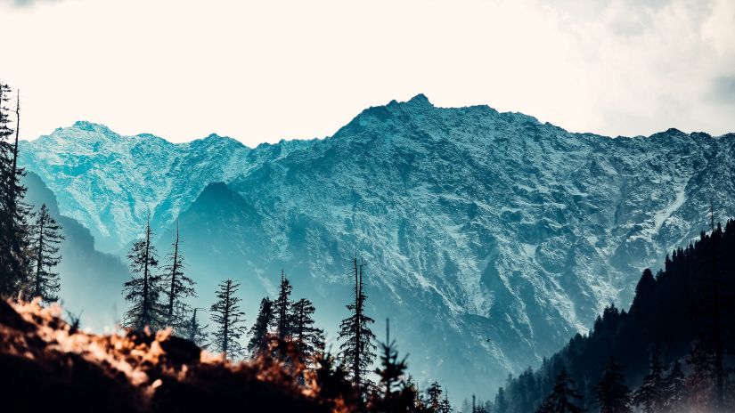 A spectacular image of snow-covered mountains and pine trees - Hotel in Manali