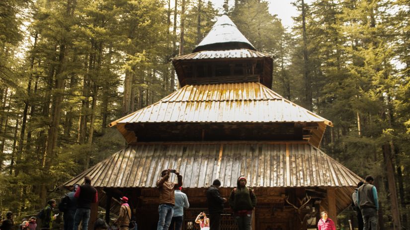 People gathered around a wooden structure surrounded by trees