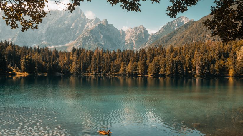 a lake with trees and mountains in the background