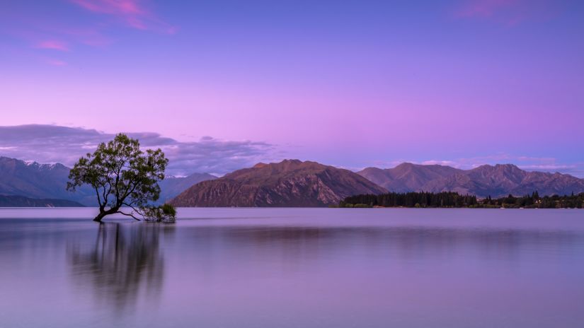 a large lake with a solitary tree in between, mountains in the background and purple hues in the sky