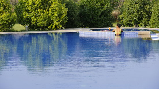  swimming pool - The Golden tusk