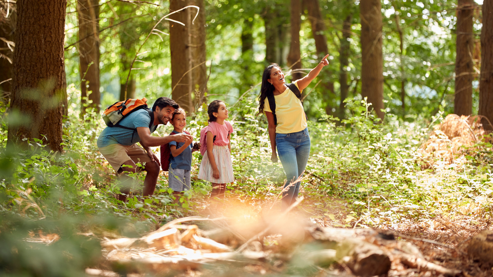  family of four, including two adults and two children, is hiking through a lush, green forest. One adult is pointing out something in the trees to the children, who look excited.