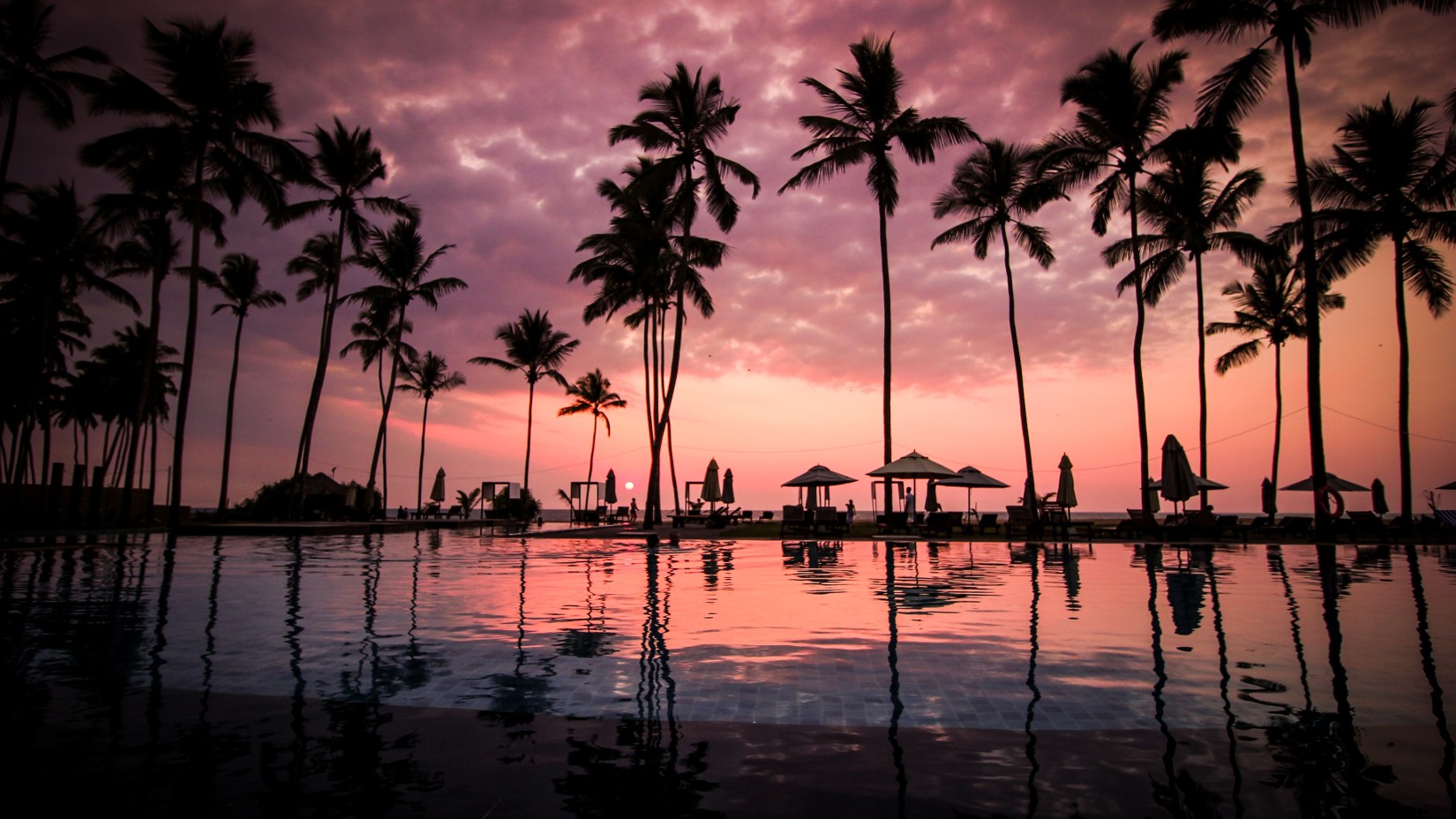 a beautiful sunset with pink hues and silhouette of coconut trees in front of a beach