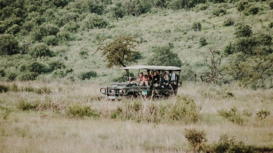 Jeep safari through the forest - A great idea during your Mysore-Bandipur-Ooty expedition