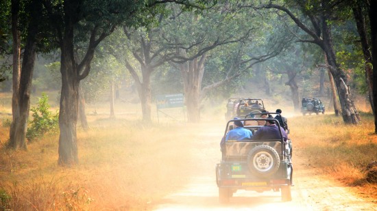 a jeep going on a safari with people sitting on it