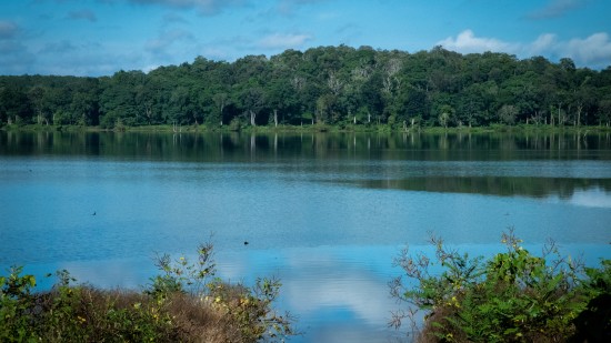 A serene picture of the Kabini lake - The Serai Kabini