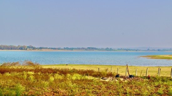 A view of the Kabini lake with grass in the foreground and another piece of land in the background