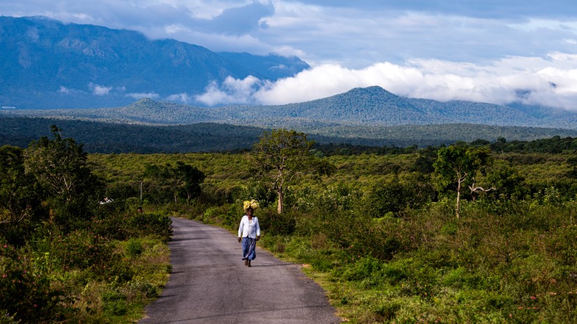 A serene road stretches through lush landscapes under a dramatic sky, with majestic mountains shrouded in mist in the background, as a local walks the path of nature