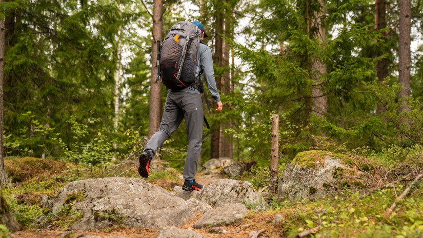 A person walking on a trek in a forest