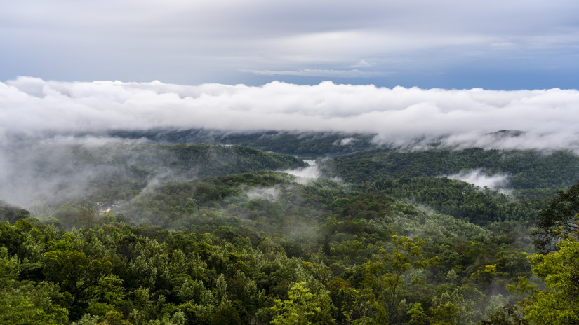 lush hills enveloped by fog