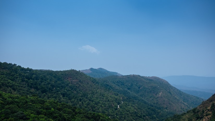 tree-clad mountain ranges