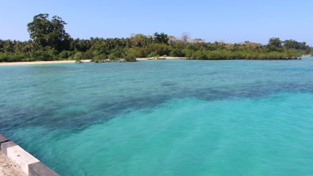 View from Jetty - Neil Kendra in Andaman and Nicobar Islands