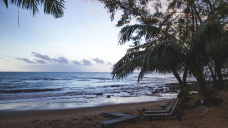 A secluded beach in Vietnam with coconut trees and blue sky in view - Nha Trang Beach Nha Trang