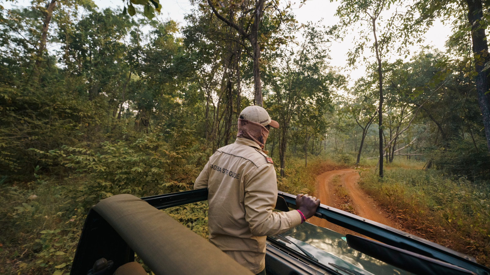 A man in a safari jeep at Trees N Tigers Tadoba