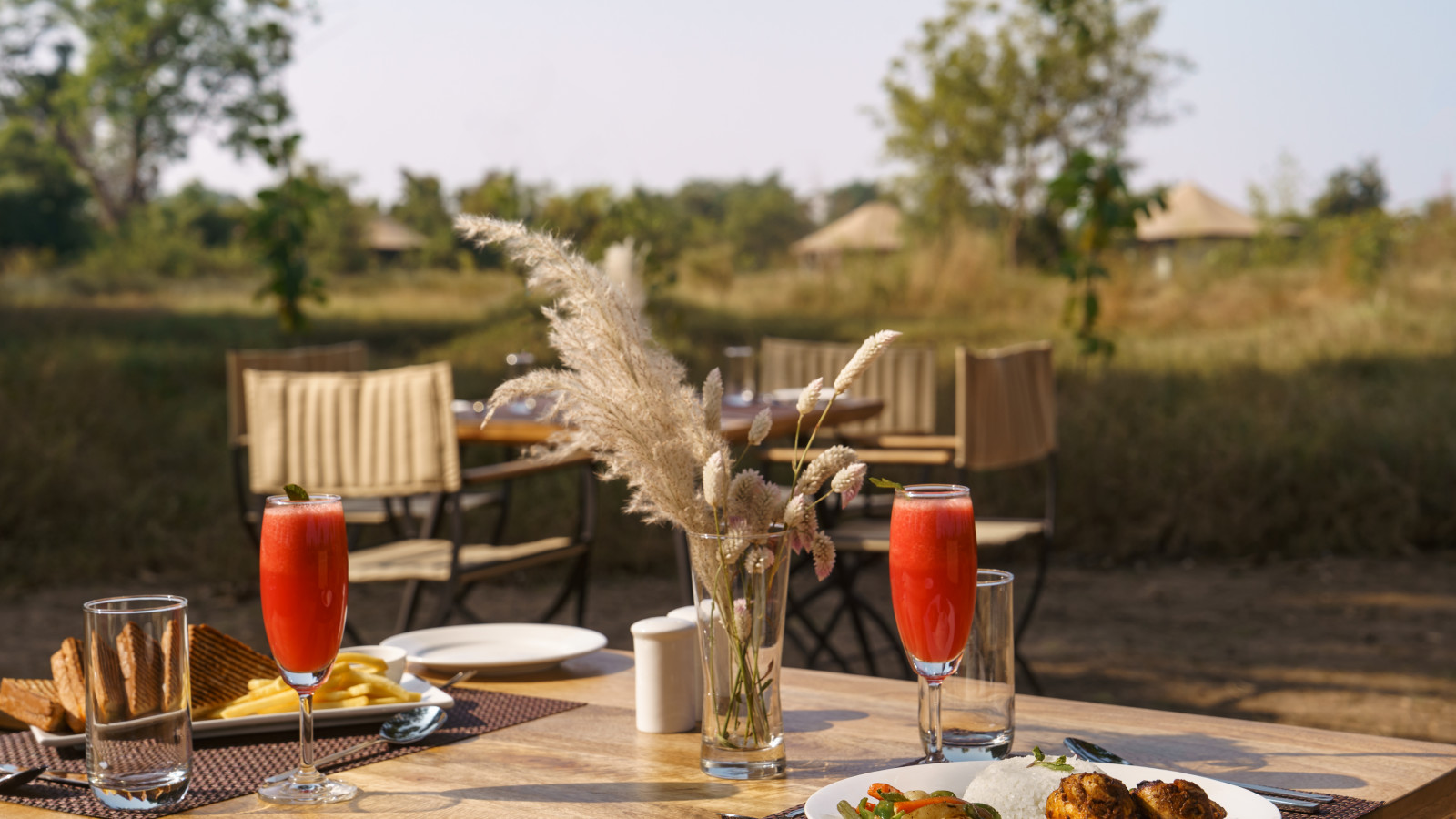 An open space with a table and food kept on the table at Trees N Tigers Tadoba