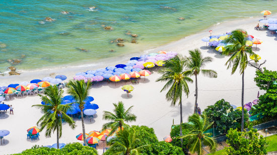 birds eye view of a beautiful landscape around a beach surrounded by green trees