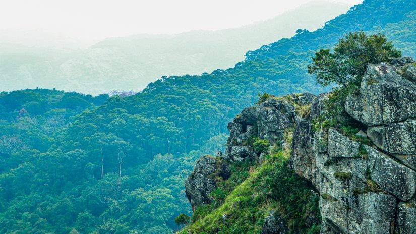 The dense greenery of a mountainous region with a rugged cliff in the foreground