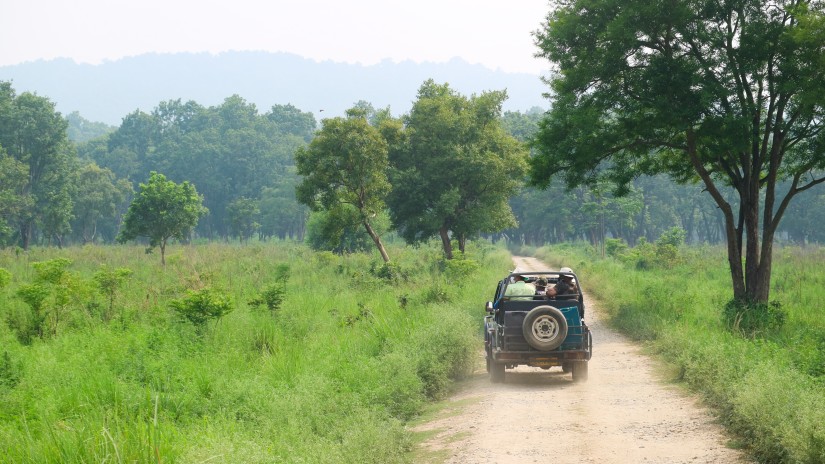 a jeep during a safari 2