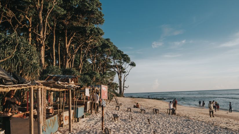 people on a beach with forest cover on the left 