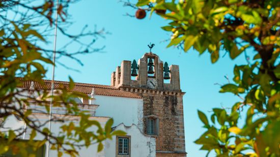 A part of the cathedral building stays visible through the leaves