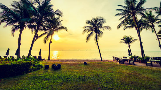 a green grassland shot from afar with the beach in front surrounded by coconut trees