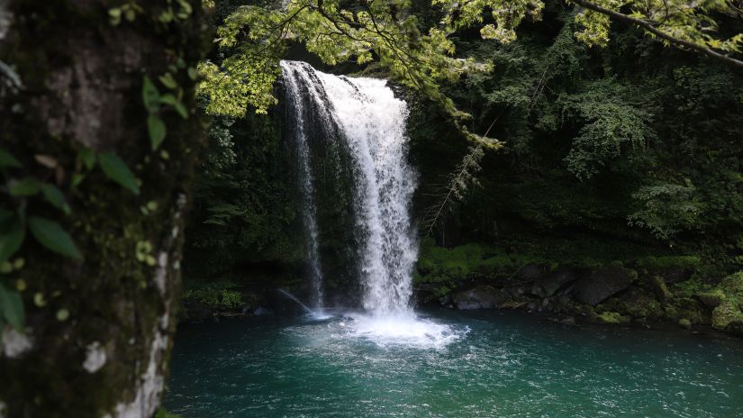 a waterfall in goa