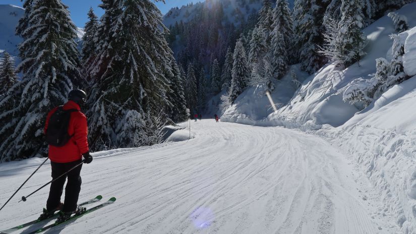 a person skiing in the snow in Shimla