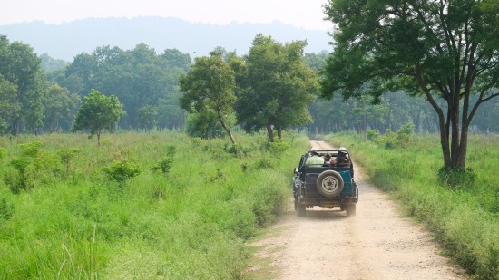 a jeep during a safari 2